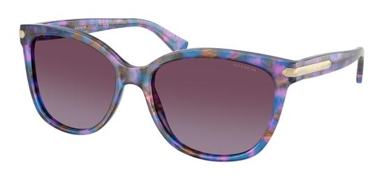 Coach 0HC8132
