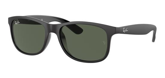 Ray-Ban 0RB4202