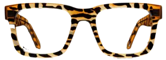 Second Eyeglasses